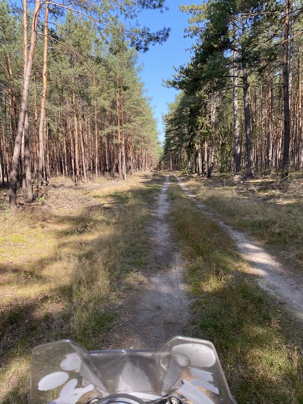 Zweitägiges Individualtraining on the Trail in Polen mit freier Terminwahl nach Absprache